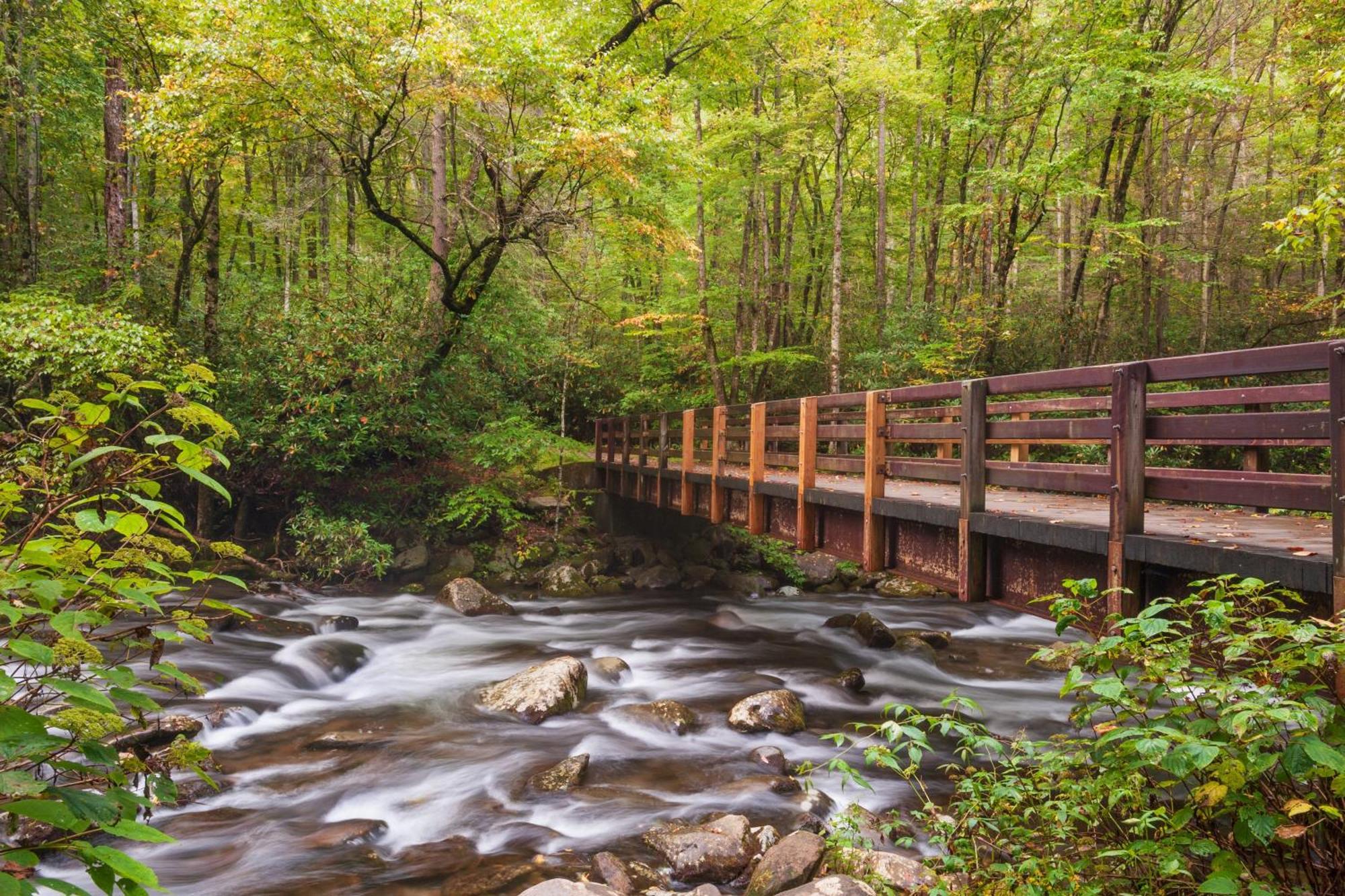 Magical Moments, Hot Tub, Wifi, 1089 Free Tickets Each Paid Day, Dollywood And More Gatlinburg Εξωτερικό φωτογραφία